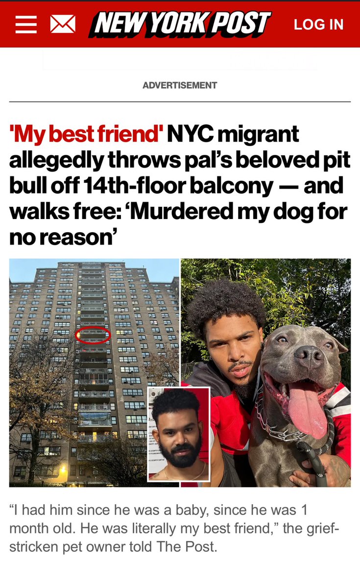 CryptosRedHood's tweet photo. @DefiyantlyFree #justiceforkith 🐕🪦🕊️free NYC from the woke mind virus and close the borders https://t.co/ZkTMIUKxRm
