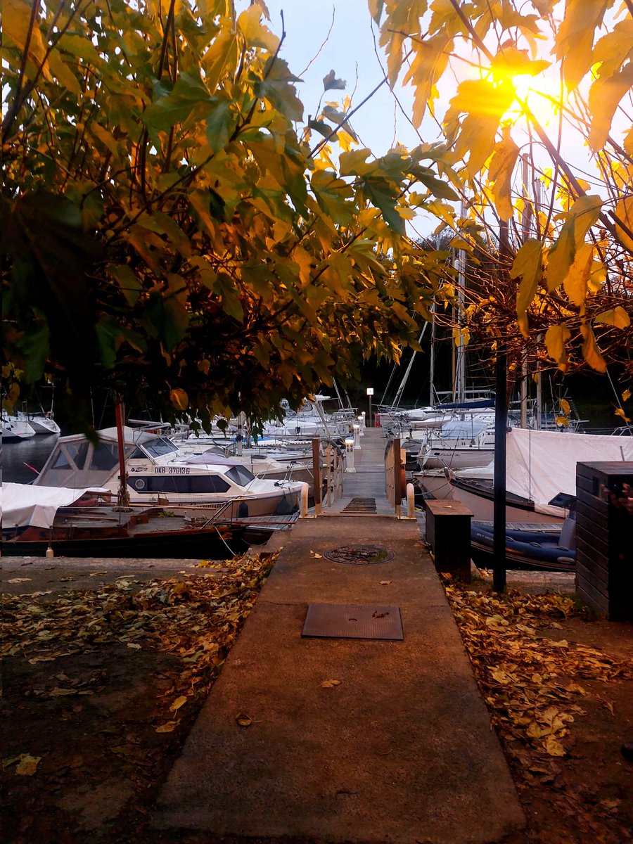 Mathildetwit98's tweet image. Promenade en bord de mer en Bretagne 🦞🍂⛵️