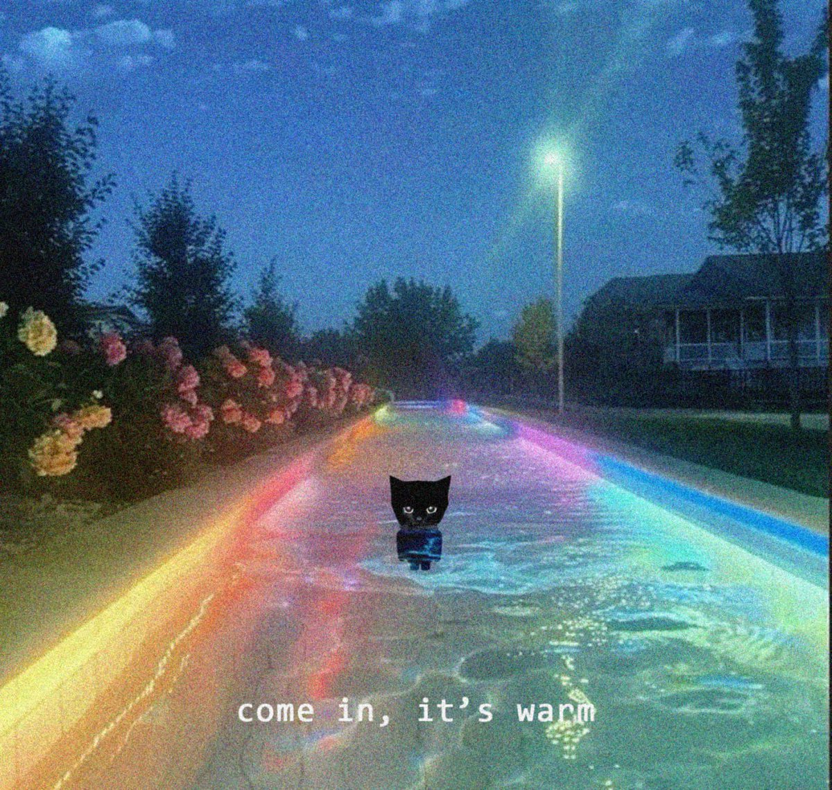 Brothecatsolana's tweet photo. https://t.co/wJz3PYDPiA