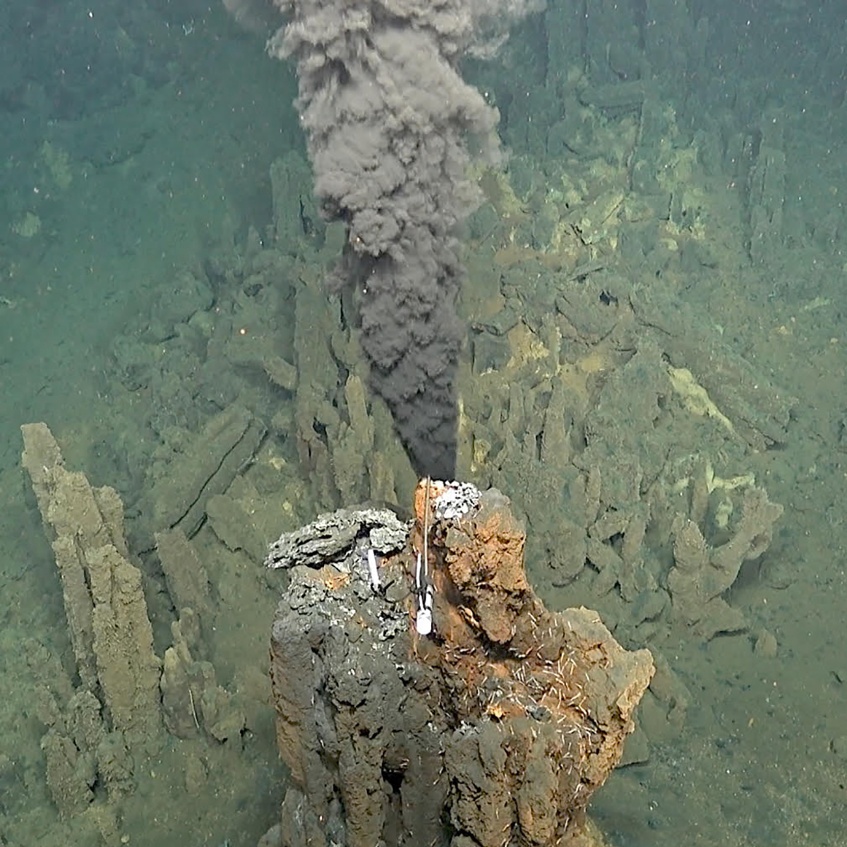 IPGP_officiel's tweet photo. #RésultatScientifique 🔎
En comparant l’enregistremt géochimique de ≠ types de serpentinites abyssales, une équipe 🇫🇷 menée par un chercheur de l’@IPGP_officiel révèle des disparités chimiques majeures ds les roches du plancher océanique à travers le🌍
➡️ https://t.co/h7Swq6JTBG https://t.co/M0Z1O8fpQj
