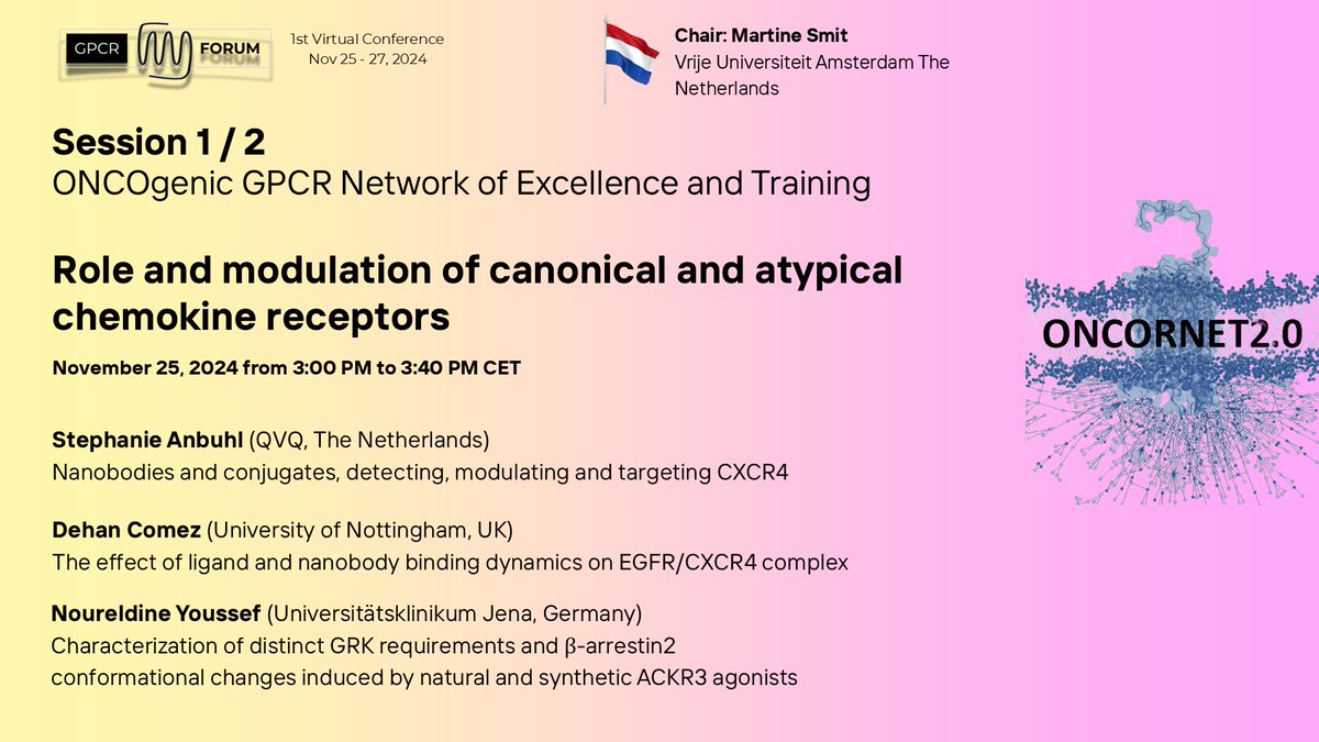 🚨 Happening NOW! 🚨 Dive into the Role and Modulation of Canonical and Atypical Chemokine Receptors at the <a href="/ONCORNET1/">ONCORNET2.0</a> session! 💡
From nanobodies to the role of GRKs and arrestins—don’t miss these exciting talks! 🔬✨ #GPCRForum #ONCORNET #GPCRForum <a href="/DehanComez/">Dehan Çömez</a>