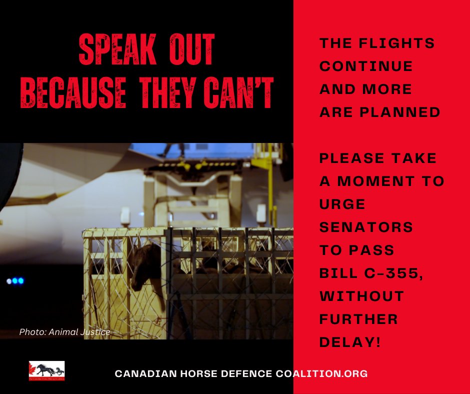 defendhorsescan's tweet photo. Nov 25/24
Korean Air Cargo flight 8214 left the Edmonton airport carrying more horses to Japan, to be slaughtered
Ask senators to pass Bill C-355 using letters at:
🐴Horseshit: https://t.co/5JtnElycUf
🐴CHDC: https://t.co/YUyhJIK7xy
🐴MP Tim Louis: https://t.co/JPsIPDn9iM https://t.co/sphkMelaC6