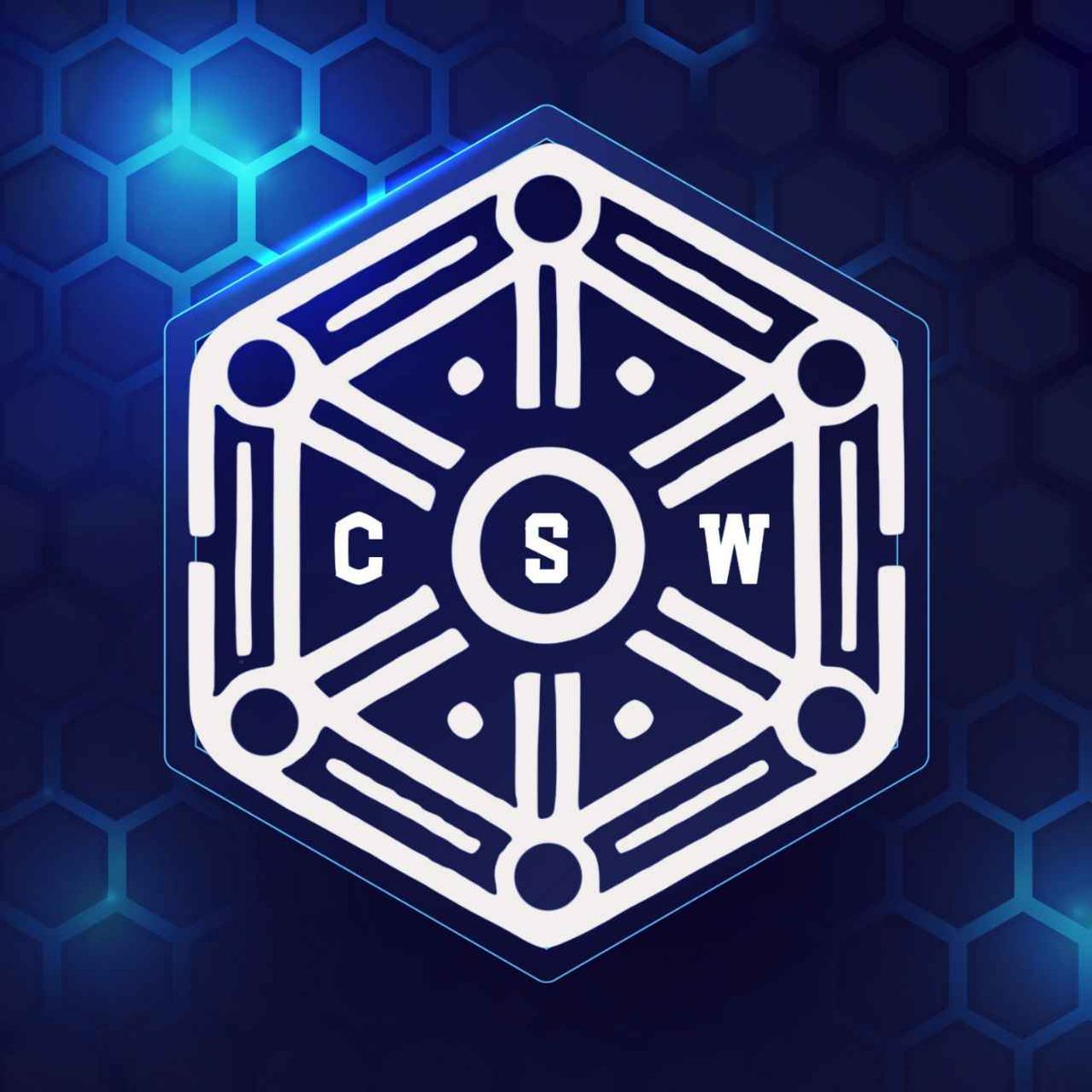 Just___James___'s tweet photo. @nicoletta_sol Pay attention! #WhitePaperMonth -Soon...👀👀 $CSW on Solana! #Utility! https://t.co/hXssyltoGh