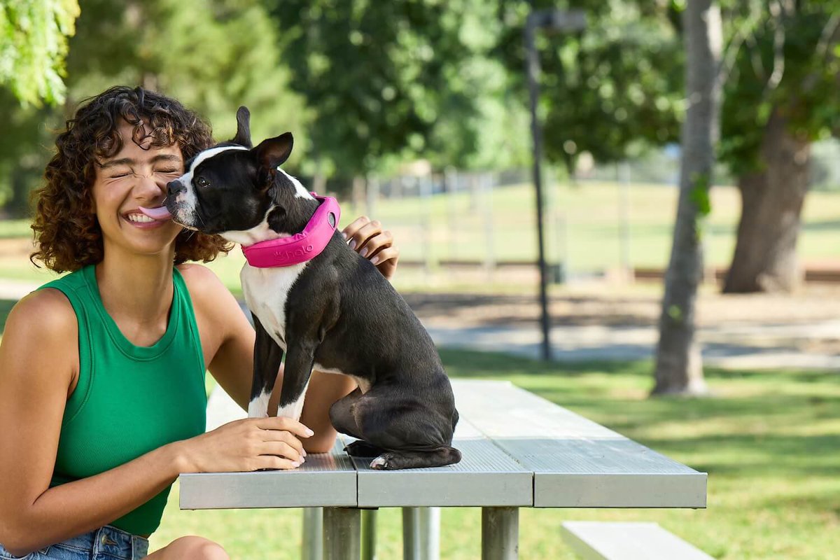 christineTechCA's tweet image. Check out these cool gifts for a furry friend. 

wifihifi.com/wifi-hifi-holi…

#holidaygiftguide #techgiftguide #giftsforpets