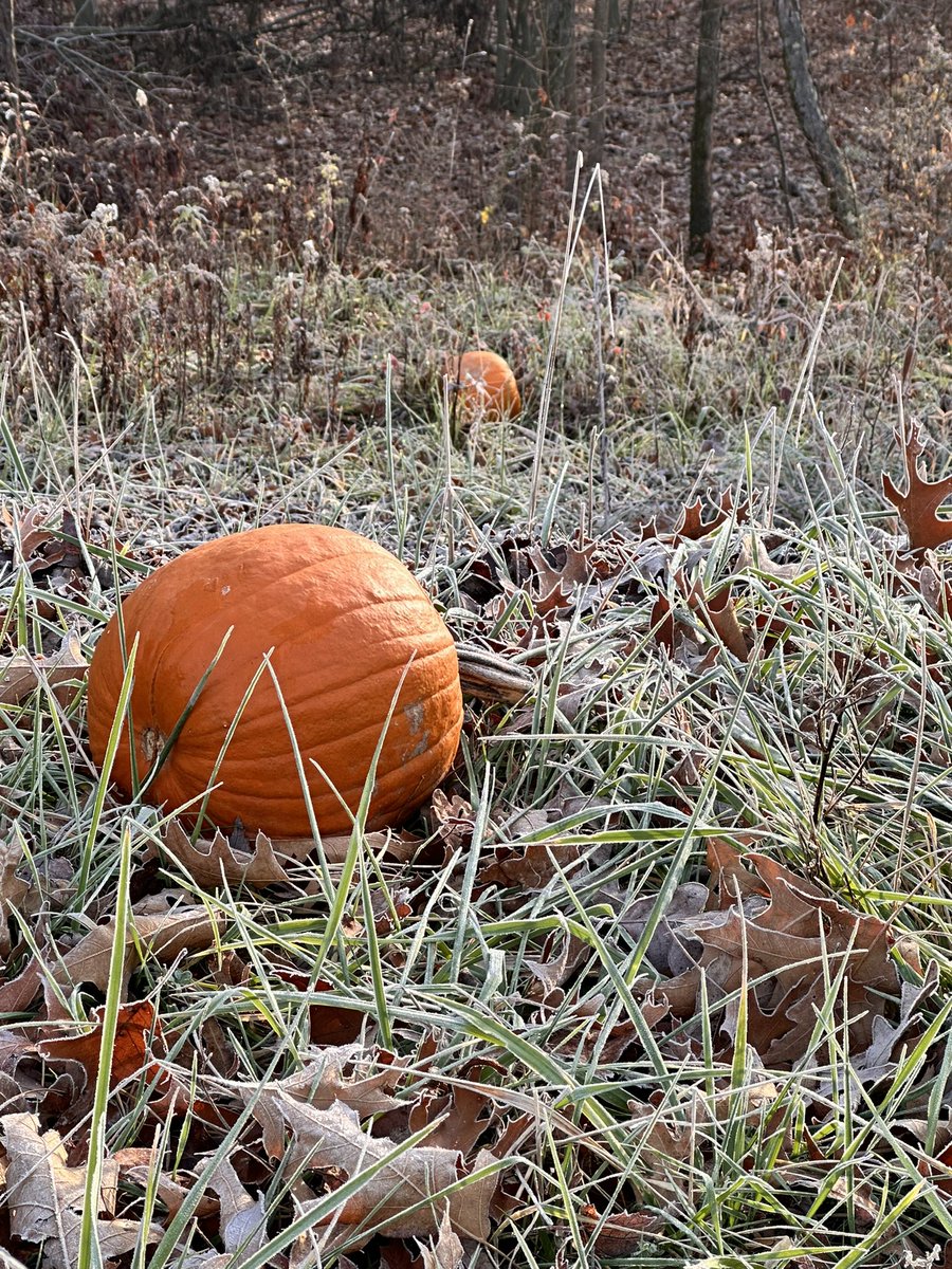 Developer_Babul's tweet image. Somebody is dumping these