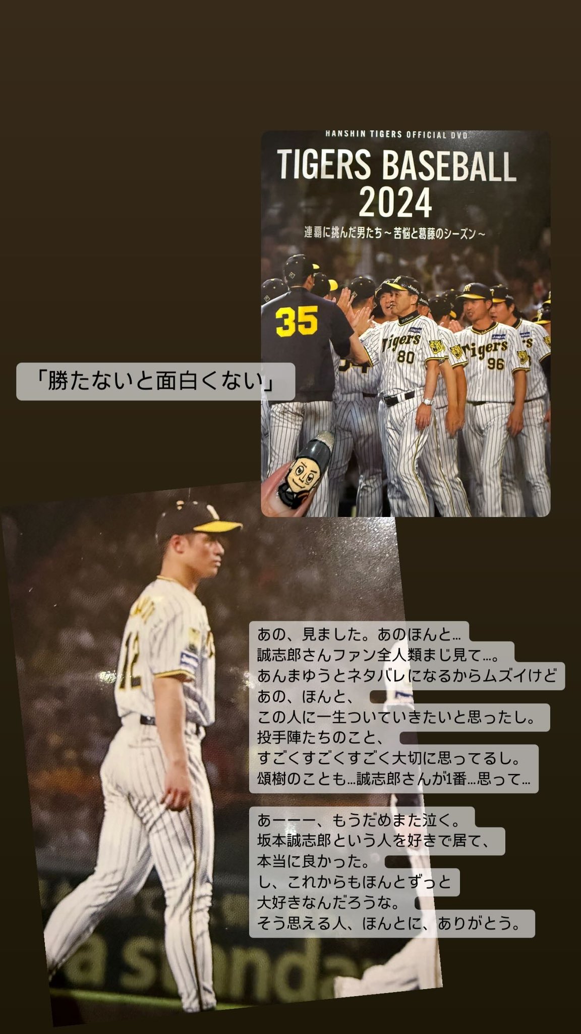 本物保証!  阪神タイガース 阪神タイガースオフィシャル DVD（8500円 2024 スポーツ・フィットネス