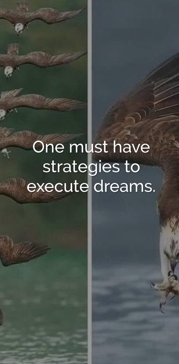 MuherezaSam256's tweet image. 