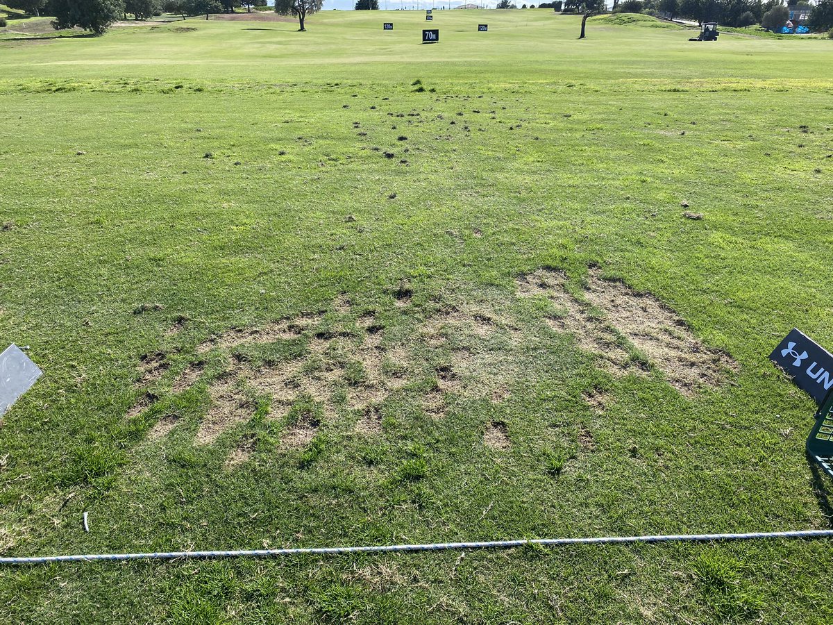 Danny Heard tweet media