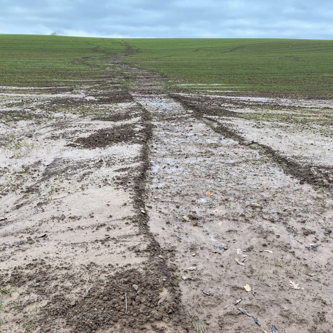 University of Worcester (@worcester_uni) on Twitter photo Researchers from <a href="/SSE_Worcester/">SSE Worcester</a> are using the latest drone technology to establish the extent of soil washed away by rainfall and flooding on farmland, including the impact on farmers.
Find out more 👉ow.ly/Z0aI50U5iF6
#WorcesterUni #Worcester Researchers from <a href="/SSE_Worcester/">SSE Worcester</a> are using the latest drone technology to establish the extent of soil washed away by rainfall and flooding on farmland, including the impact on farmers.
Find out more 👉ow.ly/Z0aI50U5iF6
#WorcesterUni #Worcester