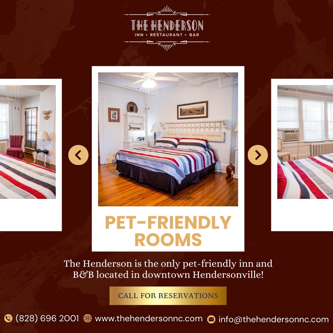TheHendersonNC's tweet photo. Bring your furry friend along and book your pet-friendly room today! 

We can't wait to welcome your whole family, including your pets!

🌐https://t.co/DI2N5zaTXz
📞(828) 696 2001 

#TheHenderson #HendersonvilleNC #BlueRidgeMountains #HistoricInn #BedandBreakfast https://t.co/MI6XH6445o