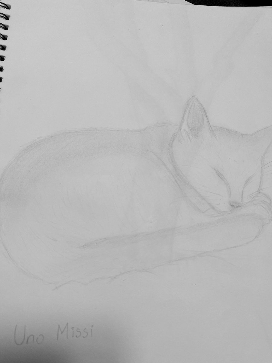 Autumn 🖤 🍂 tweet media