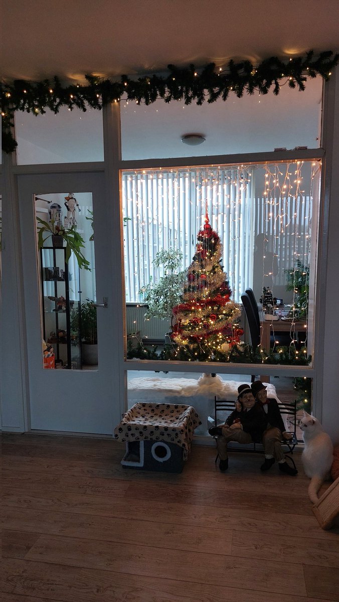 daantje_020's tweet photo. Kom je thuis van je werk en de tandarts, is hubby weer aan het knutselen geweest. 🌲🎅
#Christmas2024 
En #catproof 👌 https://t.co/QMKsSavRpN