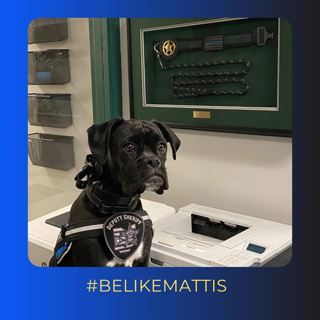 FCSO Therapy K9 (@fcsotherapyk9) on Twitter photo Mando stopped by <a href="/WHS_Cougars/">Westland High School</a> where Mattis paved the way for TK9 programs across the country. Our current TK9s are carrying on his legacy. Mando is lucky enough to use some of Mattis’ gear, such as the vest he is wearing in this picture. Remember to #BeLikeMattis! Mando stopped by <a href="/WHS_Cougars/">Westland High School</a> where Mattis paved the way for TK9 programs across the country. Our current TK9s are carrying on his legacy. Mando is lucky enough to use some of Mattis’ gear, such as the vest he is wearing in this picture. Remember to #BeLikeMattis!