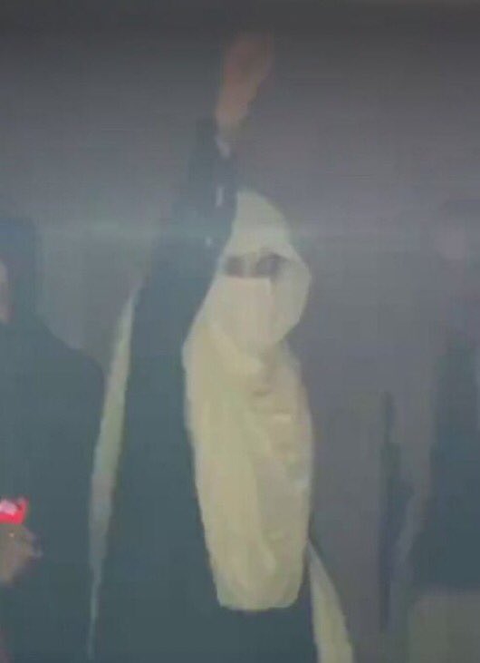 بہت تکلیف پہنچانے والے ہیں مزاحمت کے یہ مکے۔۔۔