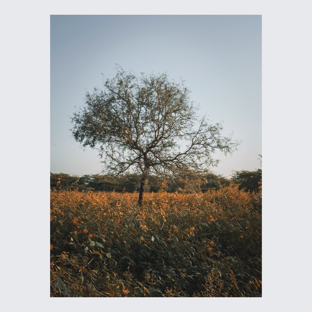 ahirvey's tweet photo. #gettingbacktoit
#photography https://t.co/QKFyYaaOoc