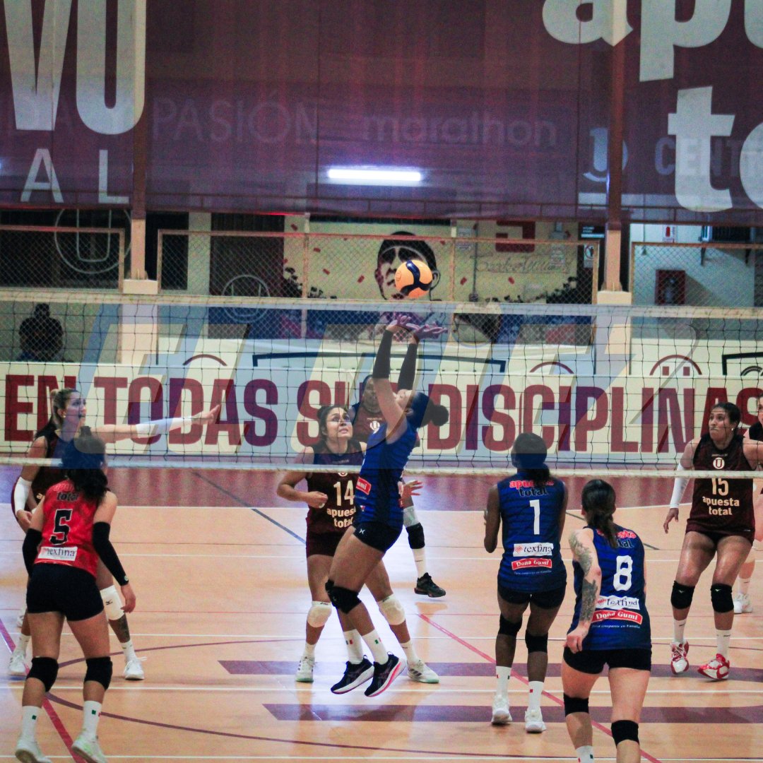 eldiezperu's tweet image. ¡LA NOCHE DE LAS #PUMAS!

El equipo de voley de #UniversitarioDeDeportes  venció por 3 sets a 2 a #Circolo en lo que fue su noche de presentación de cara a lo que será la Liga Peruana de Voley🏐🔥

📸: Olenka Valencia