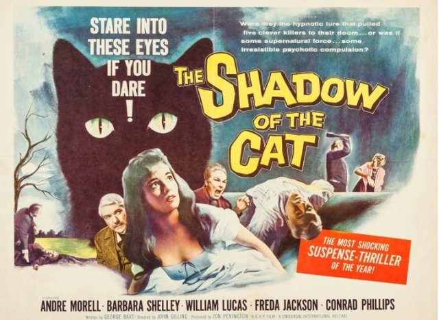 Skin Trader tweet media