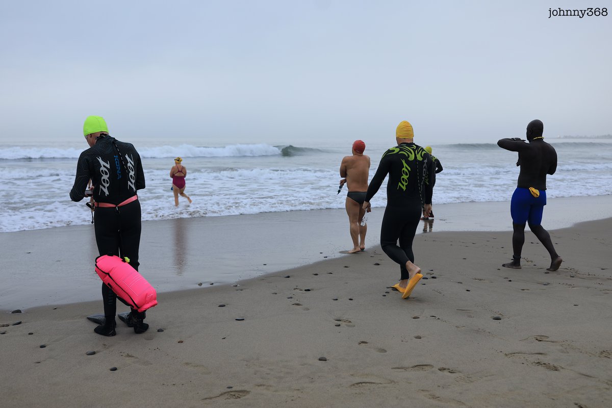 Johnny368's tweet photo. Good morning Ventura!!! 💯 #Morningwalk 🌊 They come out here to swim almost every morning!!!  #venturacalifornia #canonphotography #weekend https://t.co/Kc9F9FI1DQ