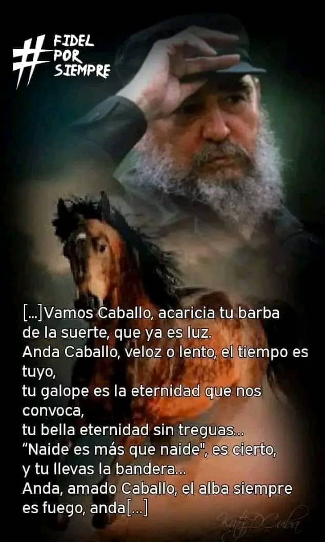 CCTcfgos's tweet photo. A los ocho años de su desaparición física, sigue siendo eterno nuestro Comandante en Jefe en pensamiento y acción. 

#FormaturCienfuegos #minturcuba #formatur #FidelPorSiempre #Cienfuegos #Cuba https://t.co/YzyHAiHRvo
