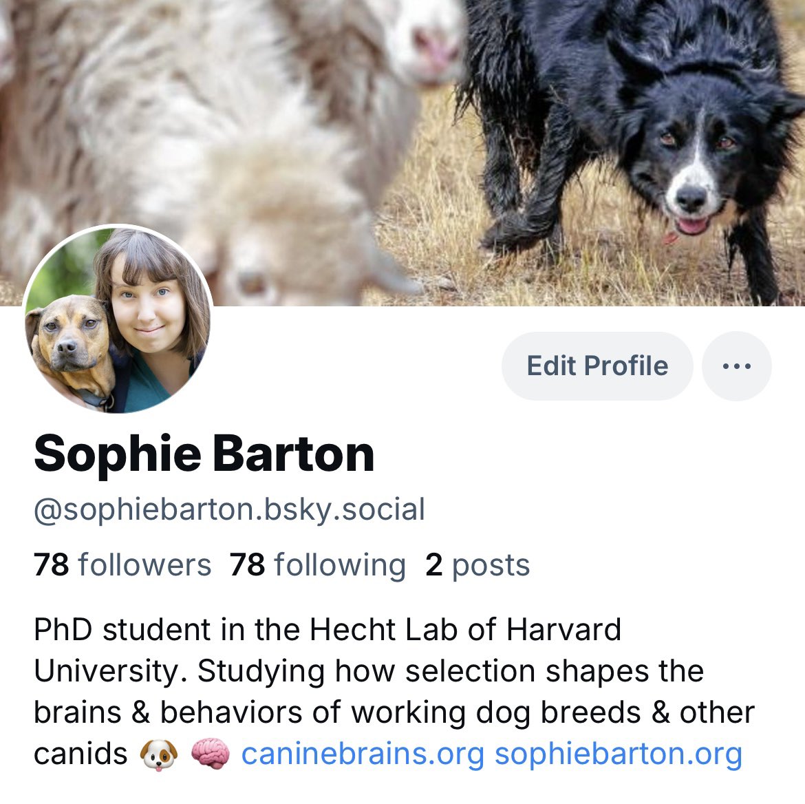 Sophie A. Barton (@Sophie_A_Barton) / Posts / X