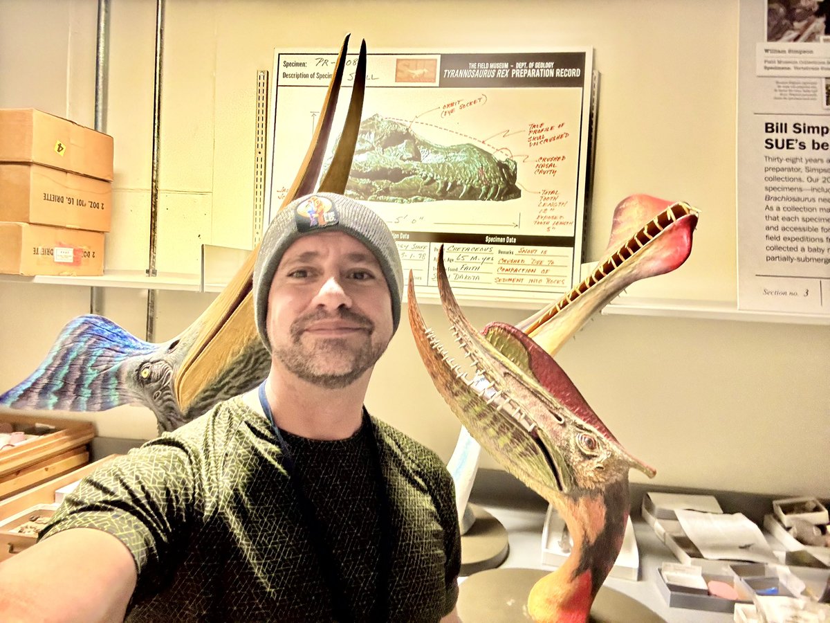 Más sobre nuestros pterosaurios colombianos

kwnsfk27.r.eu-west-1.awstrack.me/L0/https:%2F%2…