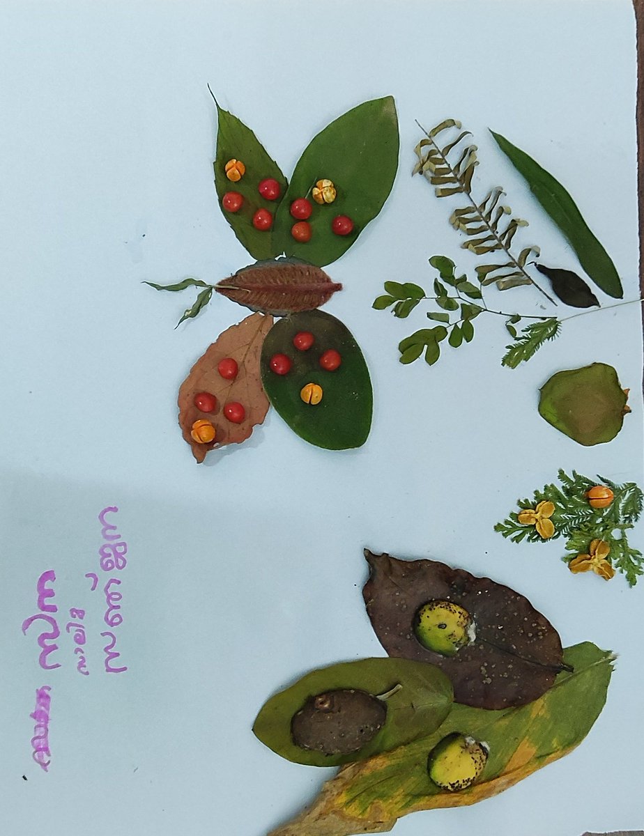 MSSRF CAbC tweet media