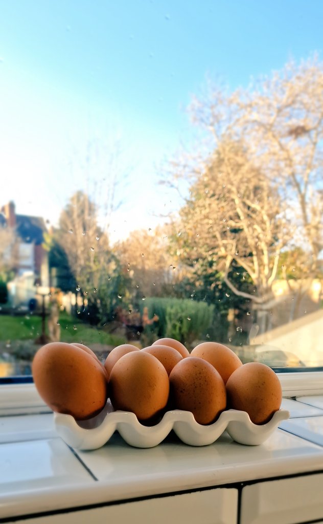 Archie Pie from Worcestershire tweet media