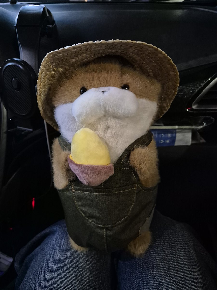 인형 처음 뽑아봐!!!! 졸귀