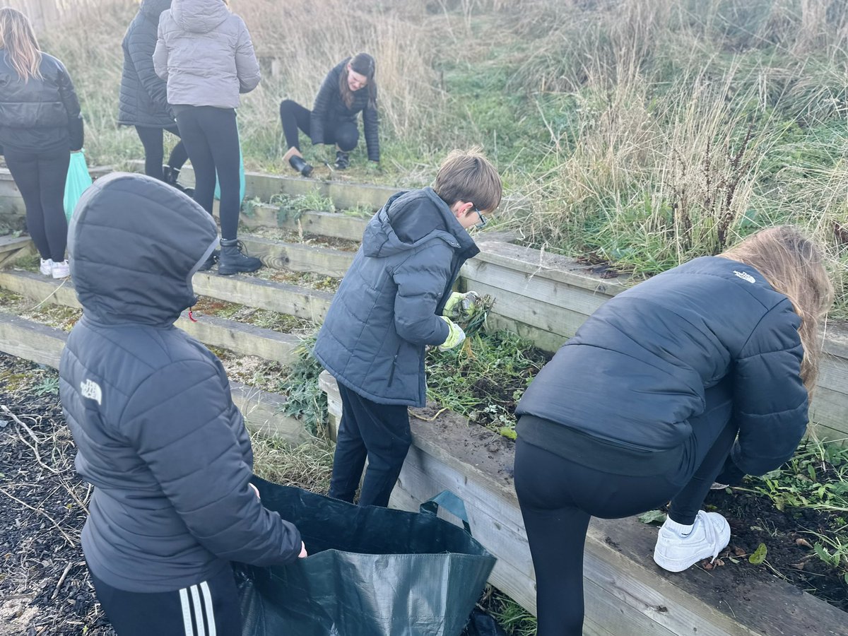 Amy Ether BCSO (@northfield_bcso) on Twitter photo Community connected learning! Based on their sustainability PBL, Crews 1.4 & 1.5 have joined forces to rejuvenate the community garden near Cummings Park. Watch this space 👀
<a href="/Excelerate_TWF/">Excelerate</a> Community connected learning! Based on their sustainability PBL, Crews 1.4 & 1.5 have joined forces to rejuvenate the community garden near Cummings Park. Watch this space 👀
<a href="/Excelerate_TWF/">Excelerate</a>