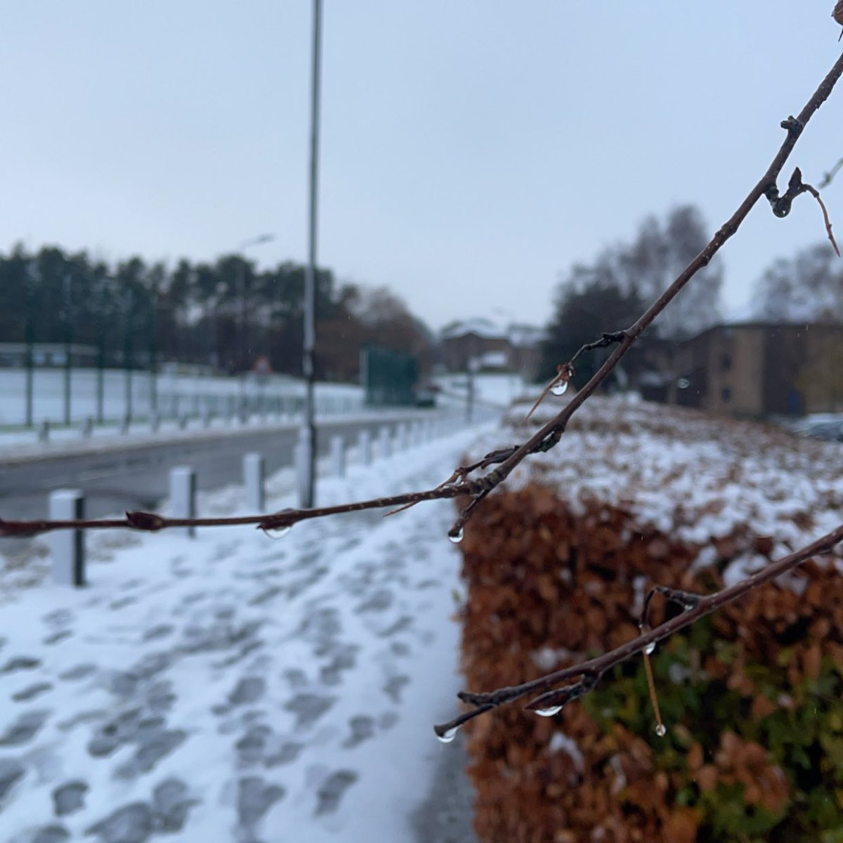 Alsh3aibi's tweet photo. ❄️ https://t.co/5Yo5zEh2iN