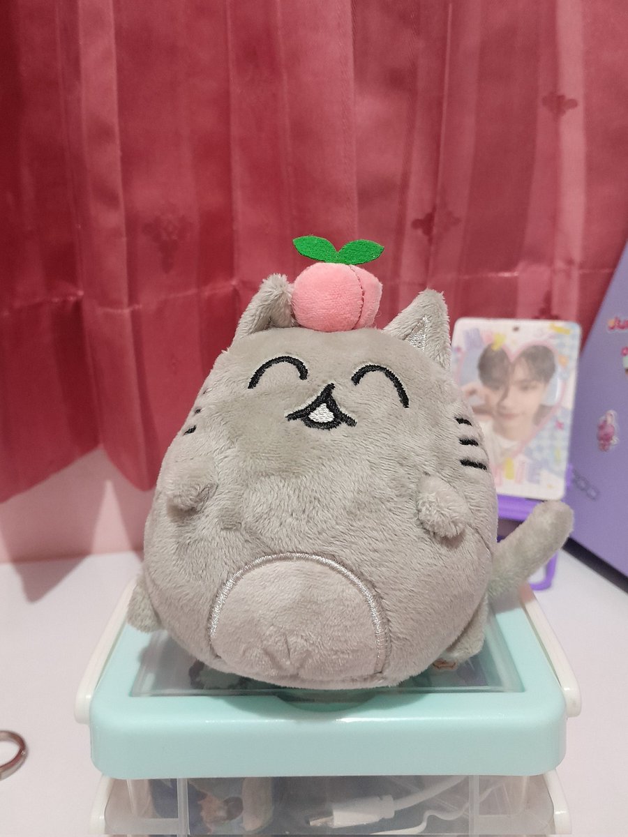 moonwhui's tweet photo. say hi ke moon jamga dong onty-onty🥹💓🫳 https://t.co/48Py9ZfyIu