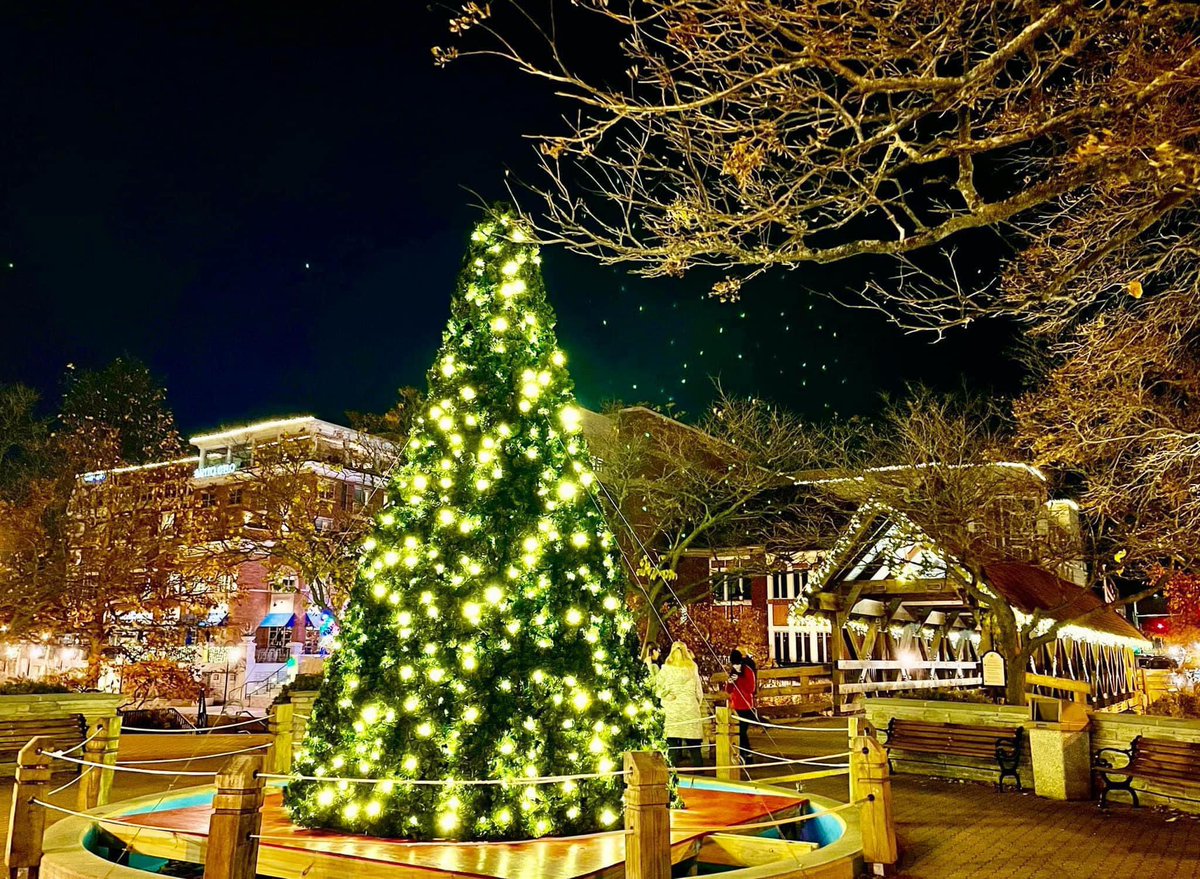 🎉🦃 BIG Thanksgiving Week in Downtown Naperville: Parade of Lights, Small Biz Sat, Black Friday deals, holiday art,🧸Bear hunt, live music, gift card giveaways  &amp; more! 🎄🎁 #ShopLocal -  downtownnaperville.com