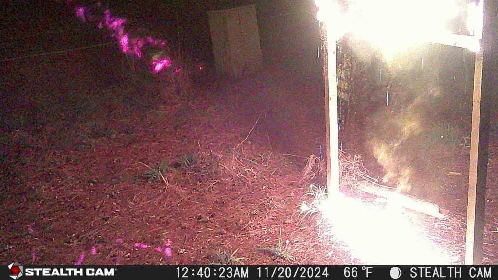 Craven County Sheriff's Office Seeks Public's Help Identifying Suspect in Arson

The Craven County Sheriff's Office is asking for the public’s assistance in identifying the male subject seen in the photos. The subject is wanted for questioning in connection to an arson of a