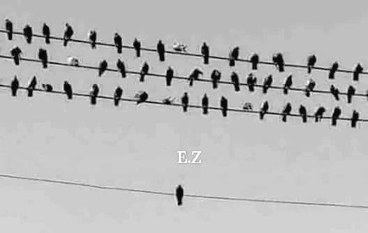 هل ظلمه الجميع  بما يكفي ليبقي  بمفرده .. أم انه خُذِل ولم يعد يثق بأحد !🚶