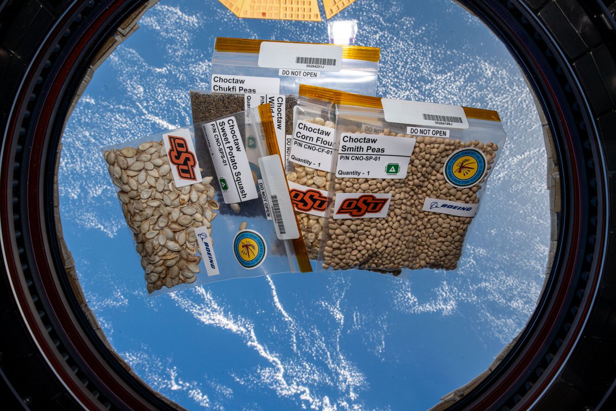 NASA Science tweet media