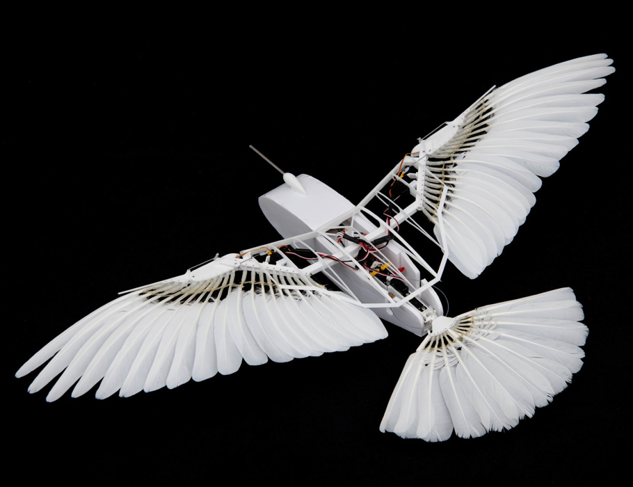 Science Robotics (@scirobotics) on Twitter photo A new study in Science #Robotics describes #PigeonBotII, a bioinspired feathered robot that can achieve #rudderless flight by using wing and tail morphing reflexes. <a href="/univgroningen/">University of Groningen</a> <a href="/Stanford/">Stanford University</a>
bit.ly/4fZwfKd A new study in Science #Robotics describes #PigeonBotII, a bioinspired feathered robot that can achieve #rudderless flight by using wing and tail morphing reflexes. <a href="/univgroningen/">University of Groningen</a> <a href="/Stanford/">Stanford University</a>
bit.ly/4fZwfKd