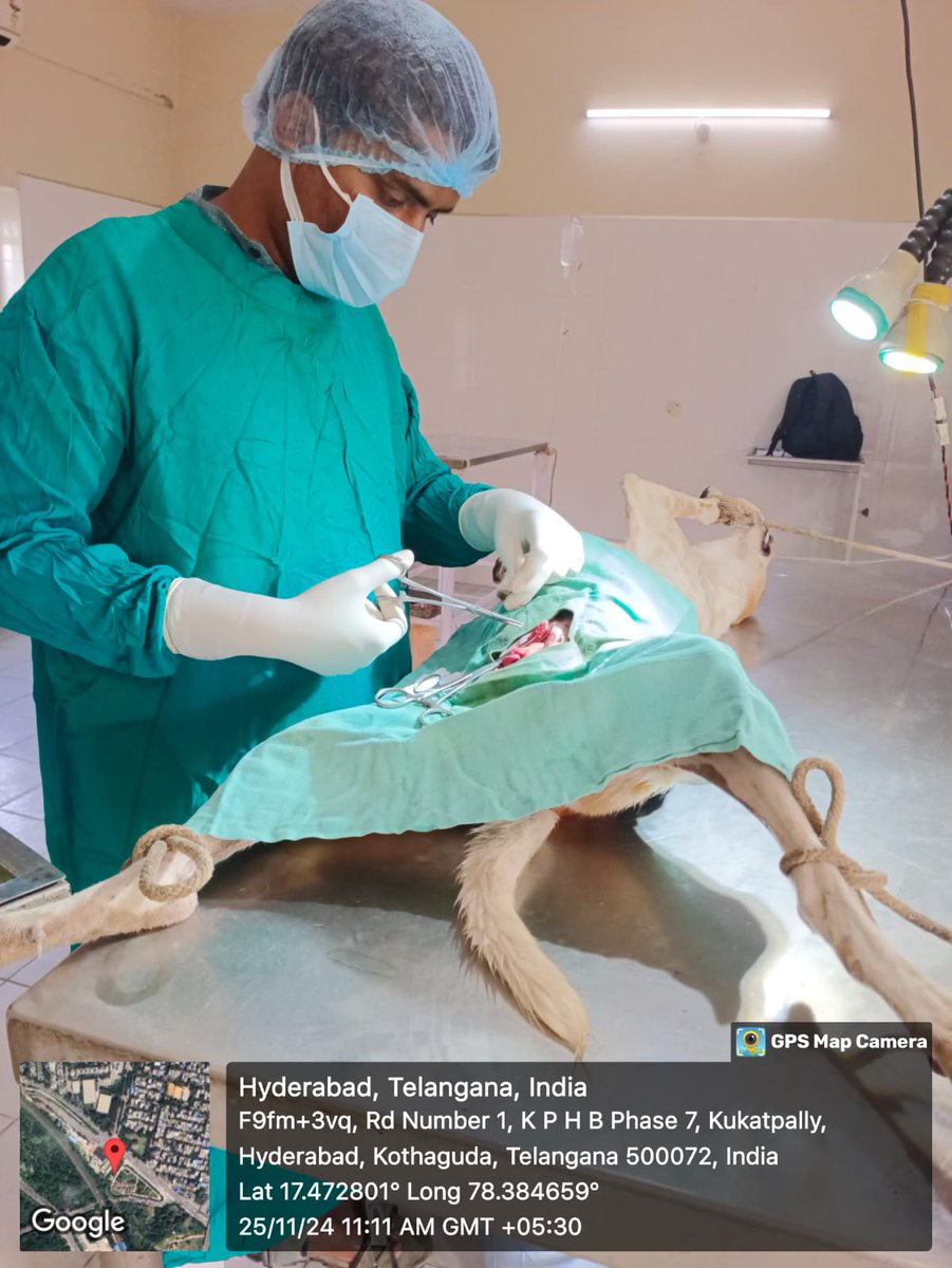 CVO,GHMC tweet media