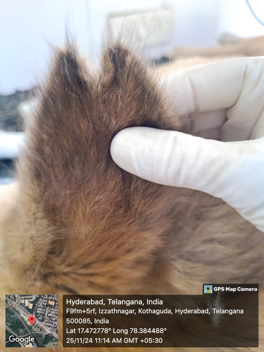 CVO,GHMC tweet media