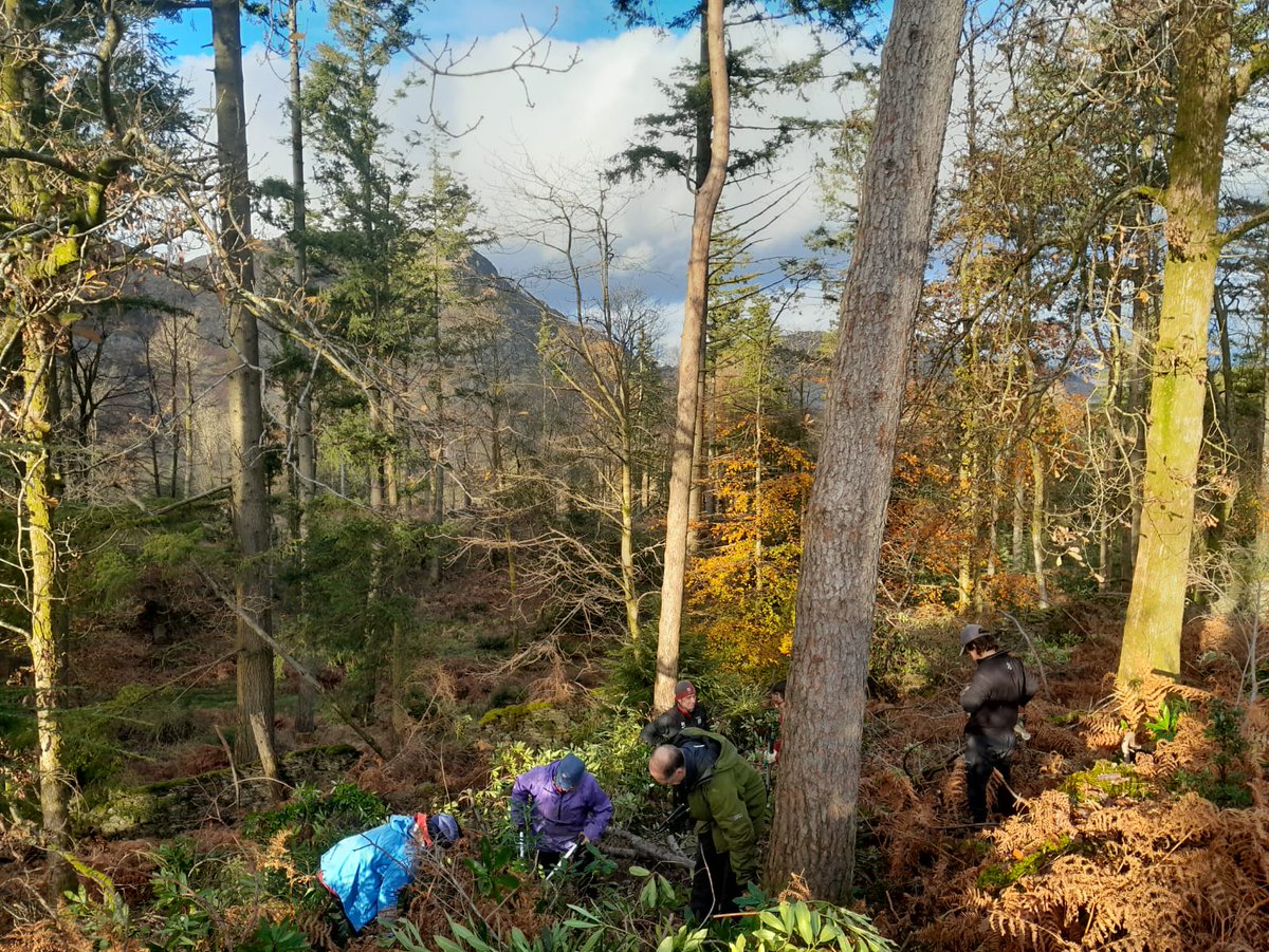 Friends of the Lake District (@friendsoflakes) on Twitter photo Thanks to all the #volunteers who braved the cold & joined us for our annual Fell Care Day! Dry stone walls repaired ✔️footpaths cleared ✔️ rhododendron sorted ✔️ bridleway maintained & scrub cut back✔️
<a href="/nationaltrust/">National Trust</a> <a href="/lakedistrictnpa/">Lake District</a> <a href="/fixthefells/">fixthefells</a> Thanks to all the #volunteers who braved the cold & joined us for our annual Fell Care Day! Dry stone walls repaired ✔️footpaths cleared ✔️ rhododendron sorted ✔️ bridleway maintained & scrub cut back✔️
<a href="/nationaltrust/">National Trust</a> <a href="/lakedistrictnpa/">Lake District</a> <a href="/fixthefells/">fixthefells</a>