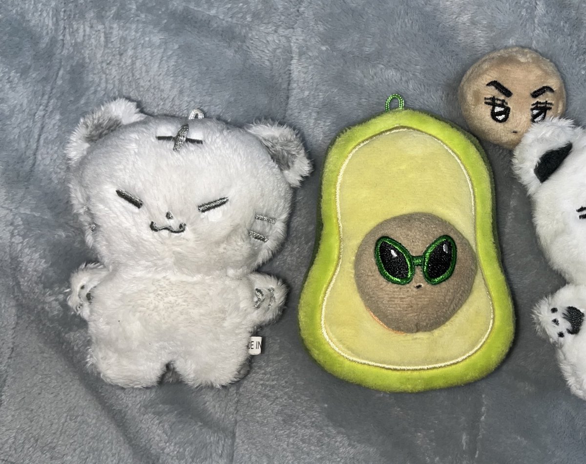 세븐틴 양도 tweet media