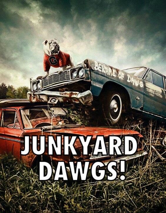 KitsieAnn's tweet image. #GoDawgs. ♥️🖤🏈🦃. #WreckTech