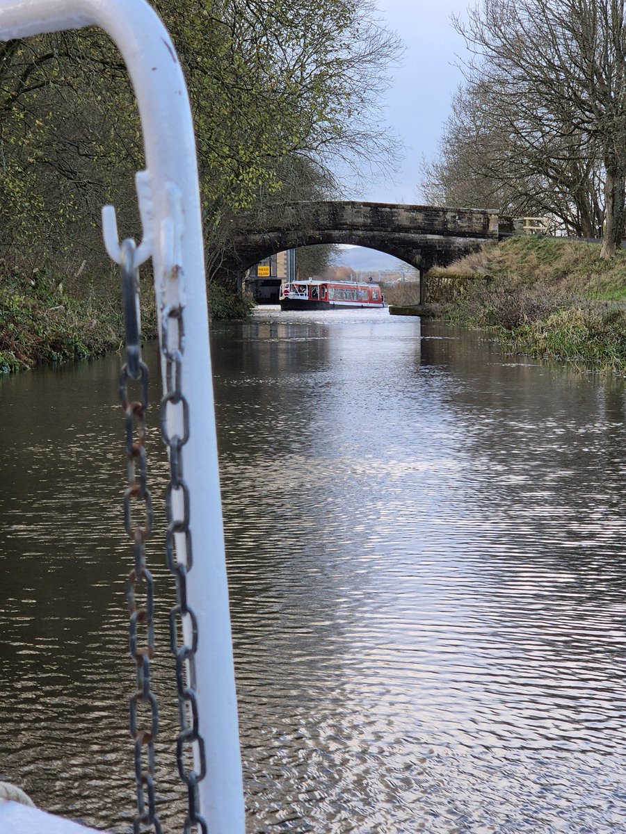 Mrs Toland tweet media