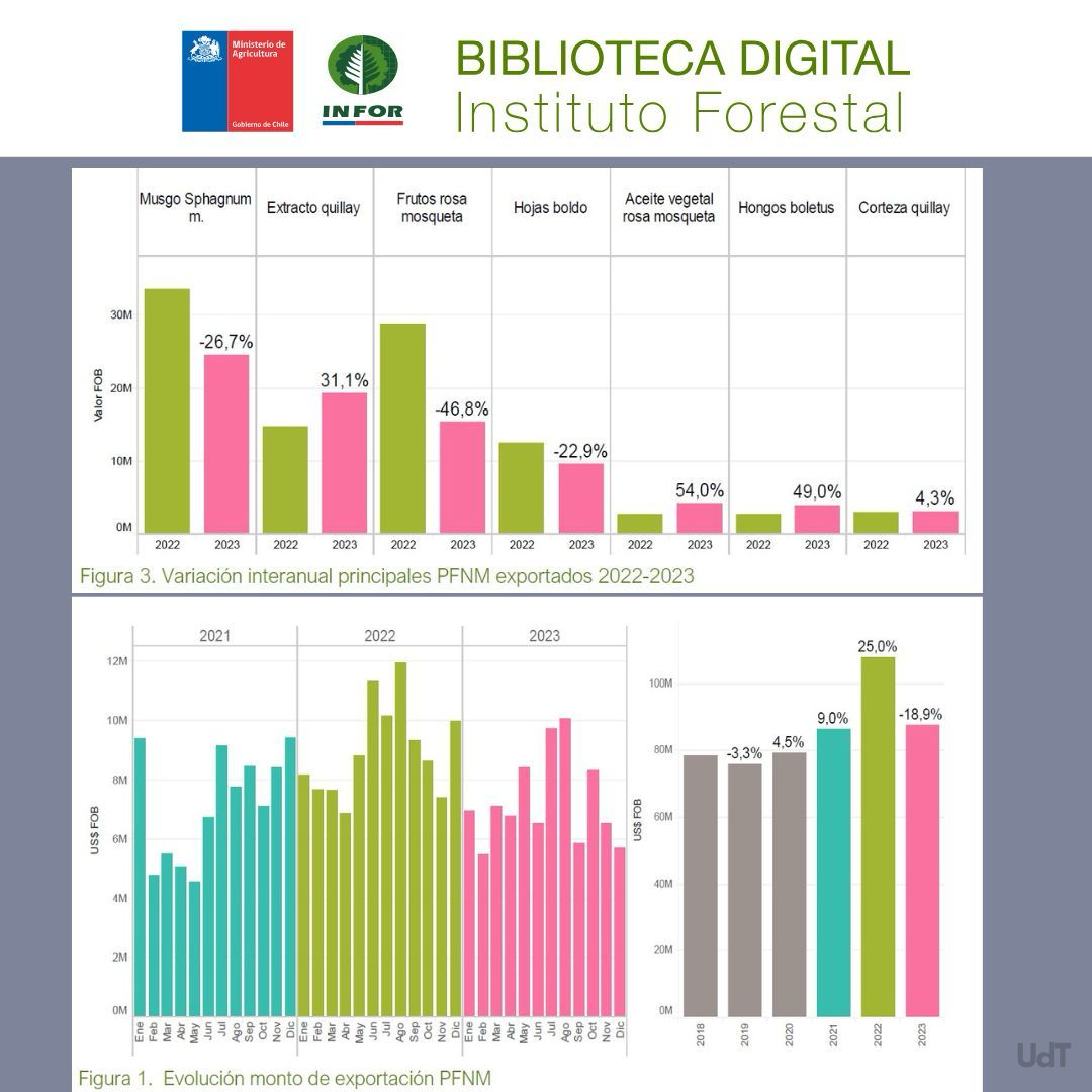 📌 Desde la Biblioteca Digital INFOR compartimos la publicación: “Boletín Productos Forestales No Madereros N°43, de los autores: Pamela Poblete, Marta García, Andrea Álvarez, Joselyn Hernández.
