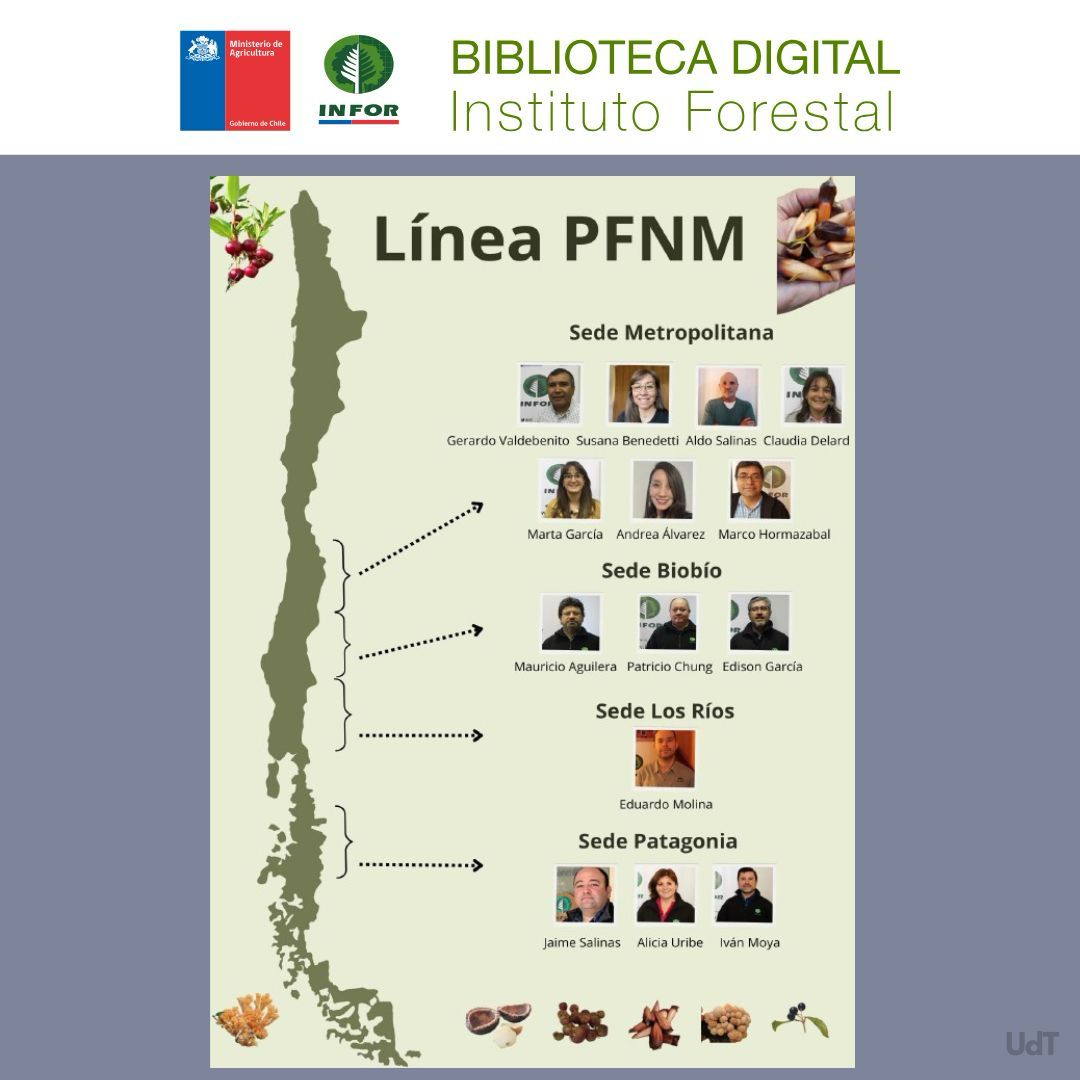 Instituto Forestal tweet media