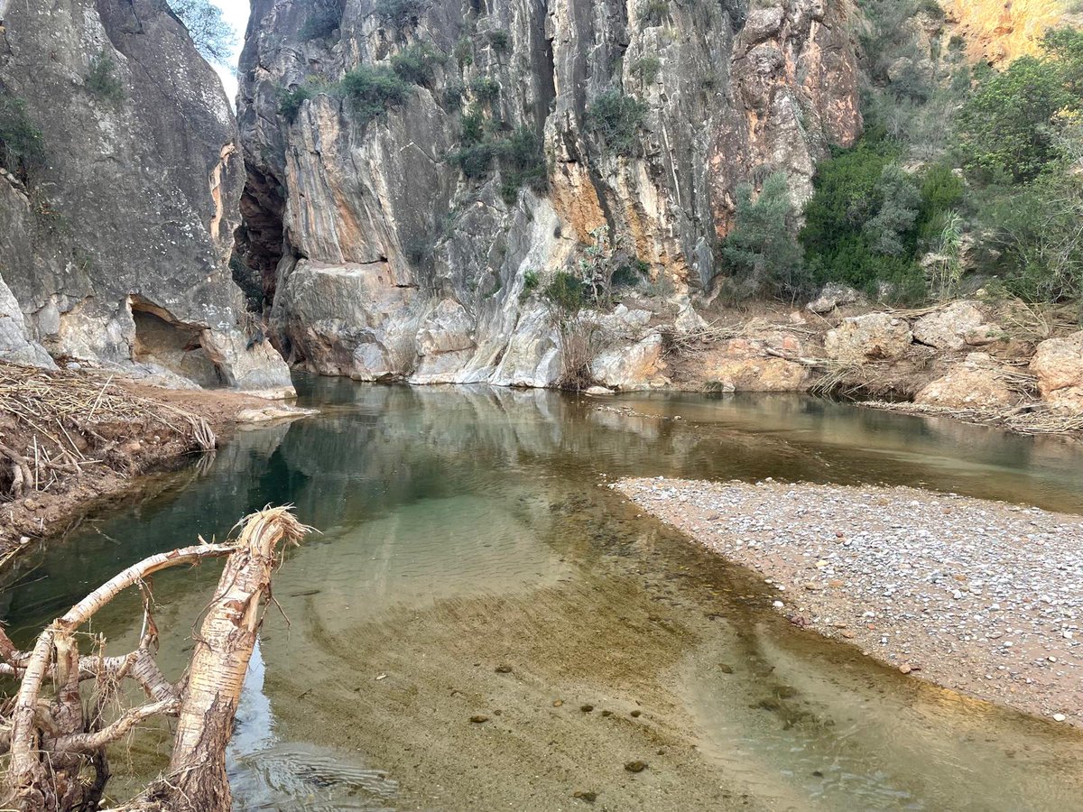 C_sempervirens's tweet photo. #laplayeta #Chelva, ací també va pegar bé la DANA, l'aigua va arribar a pasar per damunt de l'àrea recreativa. La playeta, ja no està! @avamet @PoblesValAbando https://t.co/WR5Jx4BKme