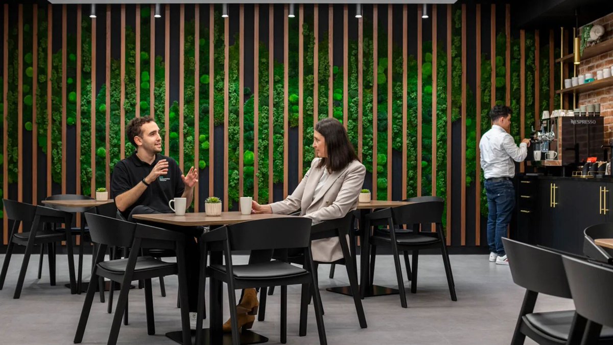 Studio Alliance tweet media