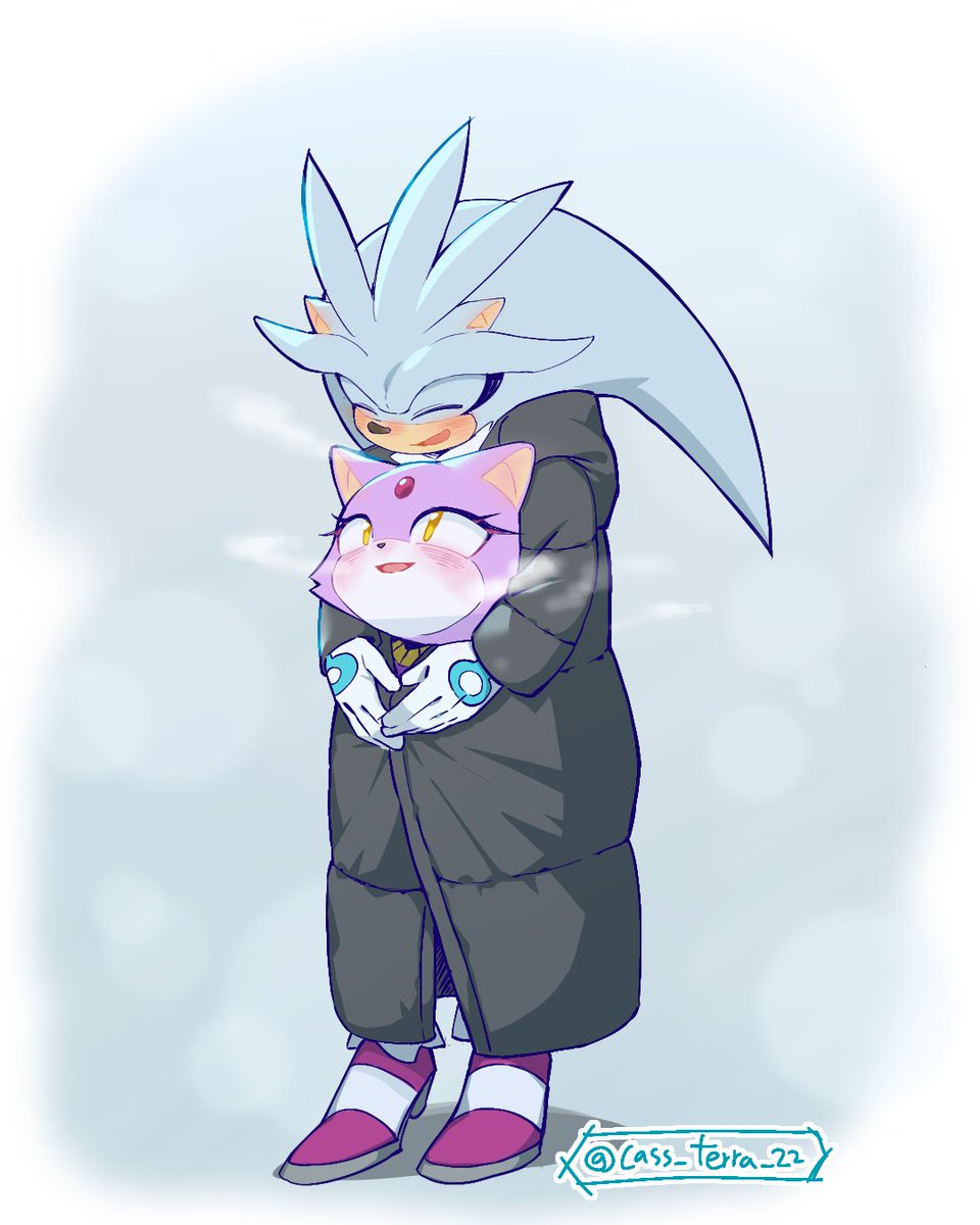 Shadow The Hedhehog (@TeamDarkShadow) / Posts / X
