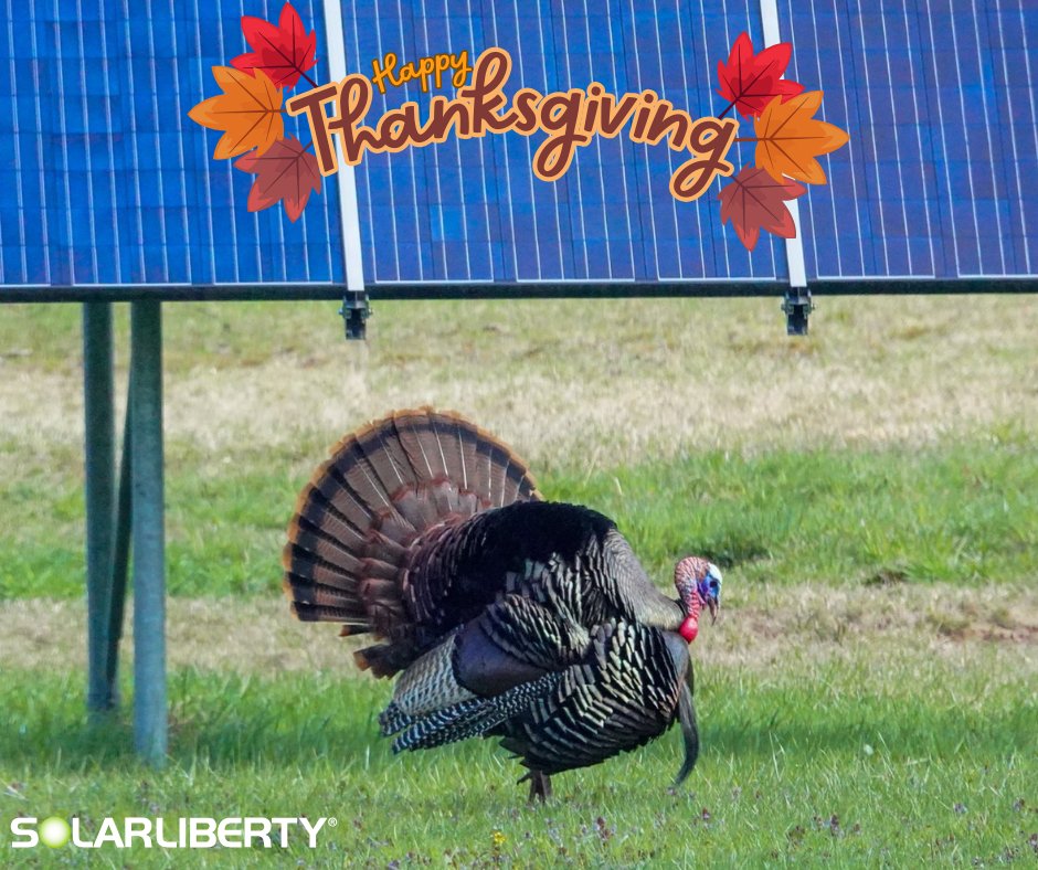 SolarLiberty's tweet photo. Wishing you a Happy Thanksgiving filled with warmth, gratitude, and renewable vibes! 

📷Thanks to our customer in Forestville, NY for this great shot! https://t.co/fW7tr3q0CA