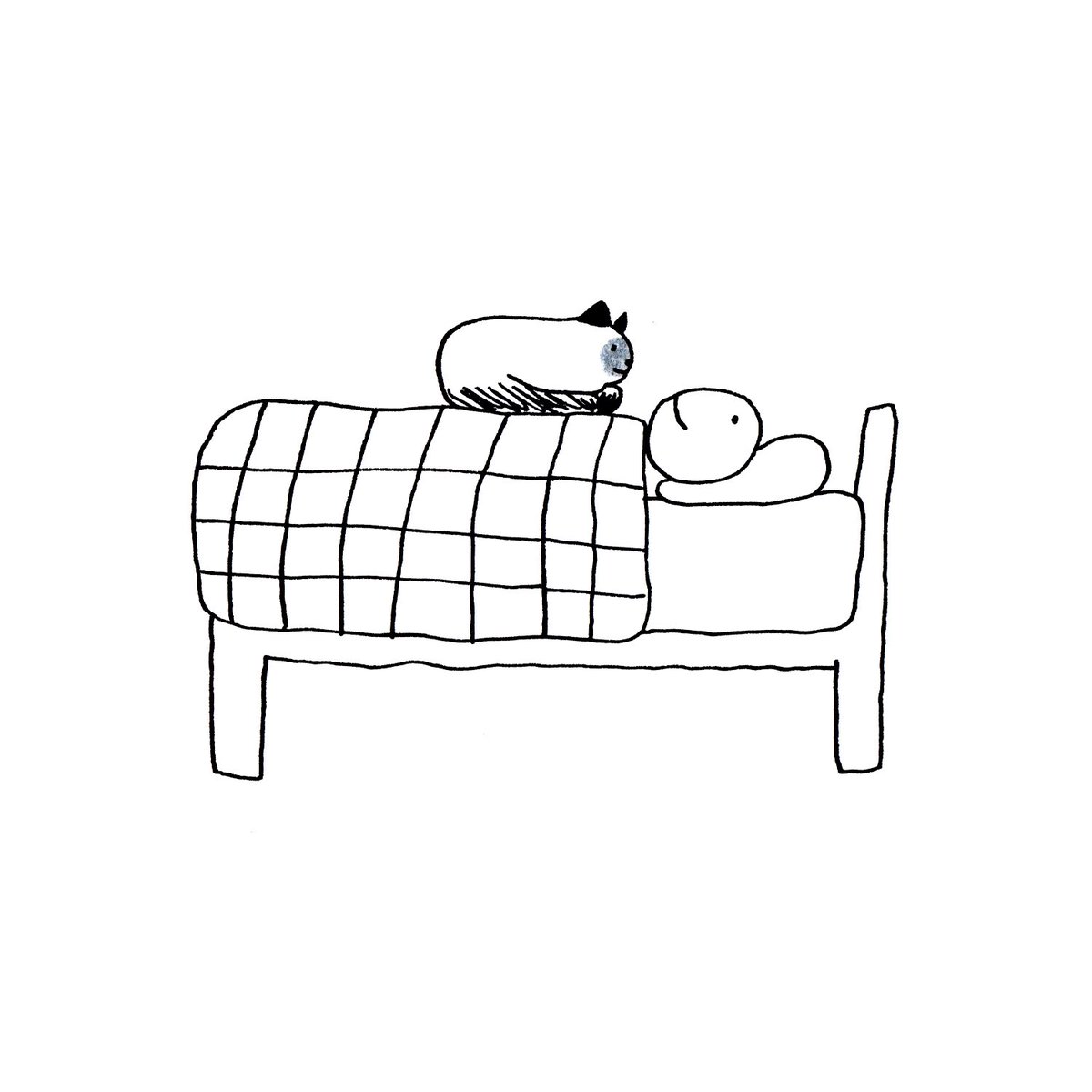 How I sleep at night