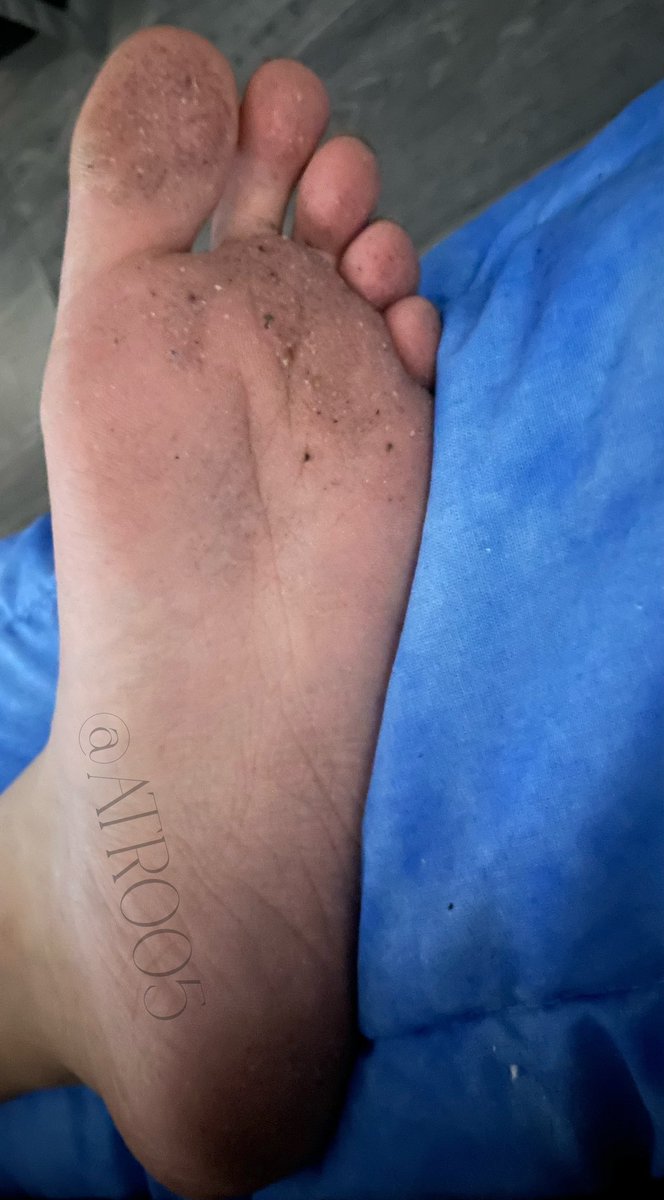 𝒞ontessa | Findomme ! tweet media